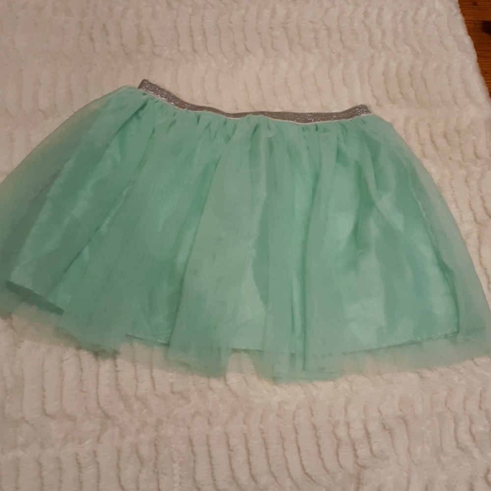 Tule skirt